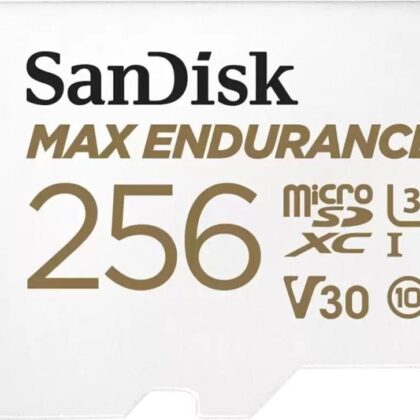 MEMORY MICRO SDXC 256GB UHS-3/SDSQQVR-256G-GN6IA SANDISK SDSQQVR-256G-GN6IA 619659178543