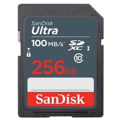 MEMORY SDXC 256GB UHS-I/SDSDUNR-256G-GN3IN SANDISK SDSDUNR-256G-GN3IN 619659186357