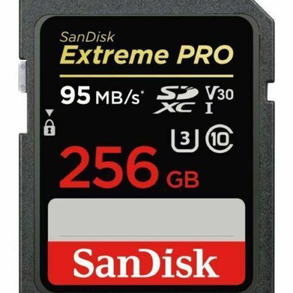 MEMORY SDXC 256GB UHS-1/SDSDXXD-256G-GN4IN SANDISK SDSDXXD-256G-GN4IN 619659188658