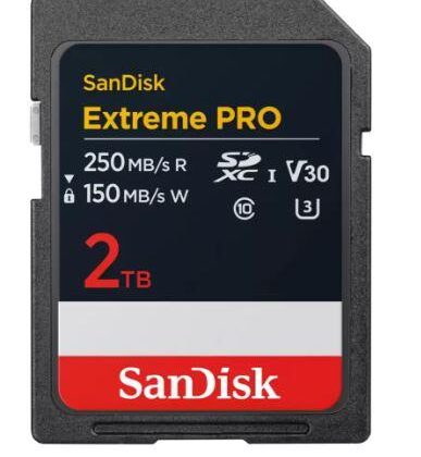 MEMORY SDXC 2TB UHS-1/SDSDXXD-2T00-GN4IN SANDISK SDSDXXD-2T00-GN4IN 619659208523