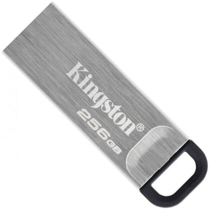 MEMORY DRIVE FLASH USB3.2/256GB DTKN/256GB KINGSTON DTKN/256GB 740617309195